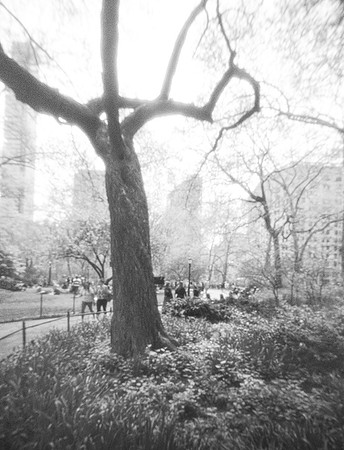 MIDTOWN NO.50