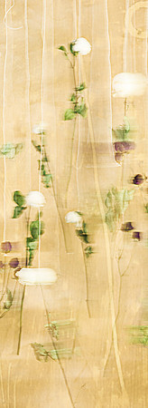 FLOWER NO. 20 WHITE AND MAROON SCROLL NIK 8